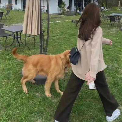 雅皮杜
